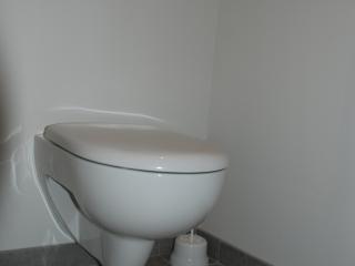 Rénovation des sanitaires avec pose d'un WC suspendu